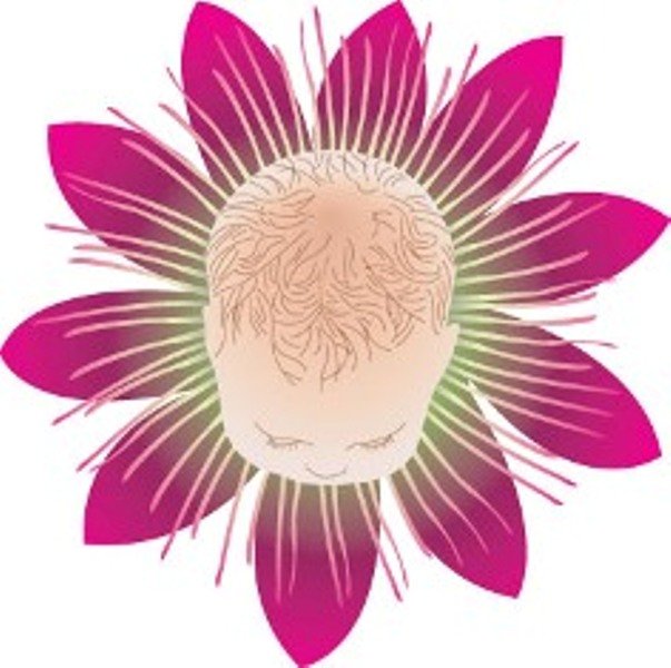 Natural Beginnings
