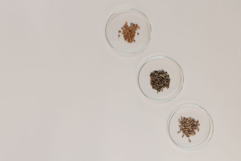Village For Mama Three small glass dishes arranged vertically, each containing different small seeds or dried herbs, placed on a light-colored surface.