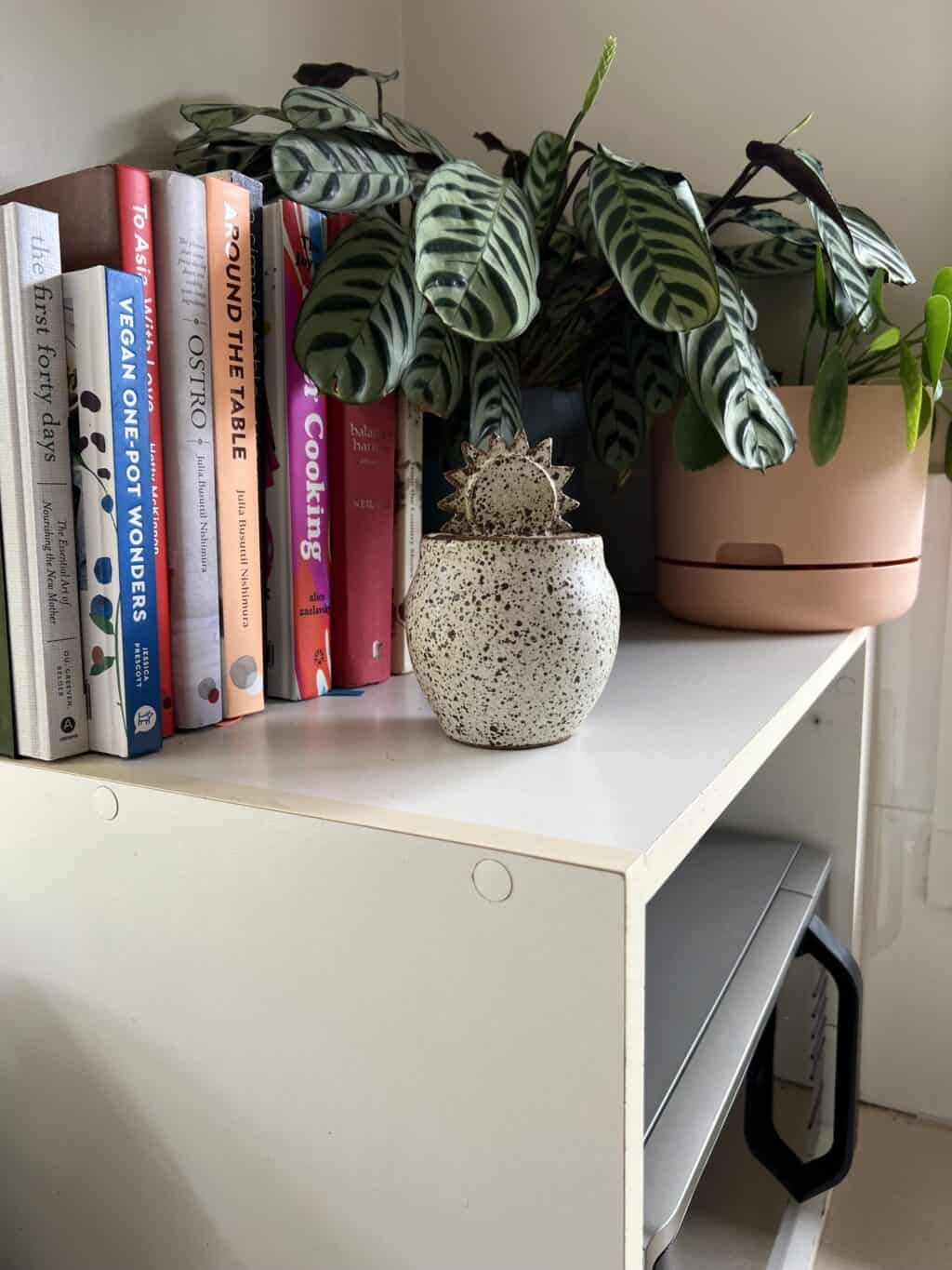 A small shelf with a collection of cookbooks, a potted plant, and a spotted ceramic vase in the center with Jean's ashes. Another plant in a beige pot sits on top of the shelf.